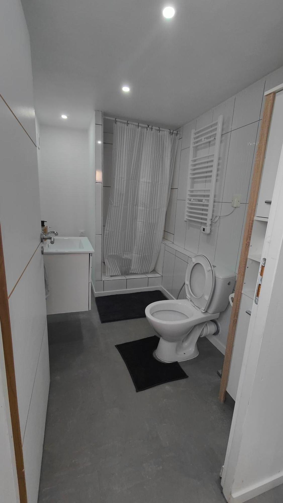 Bel Appartement F2 Entierement Renove Sélestat Εξωτερικό φωτογραφία