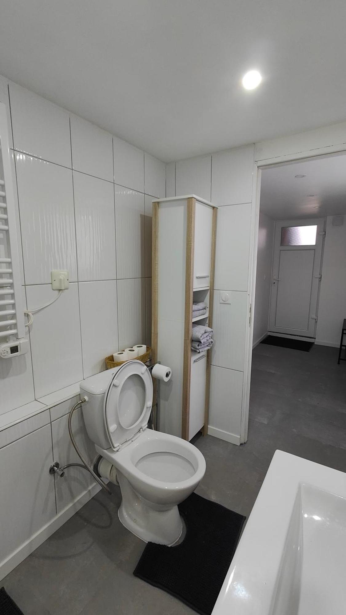 Bel Appartement F2 Entierement Renove Sélestat Εξωτερικό φωτογραφία